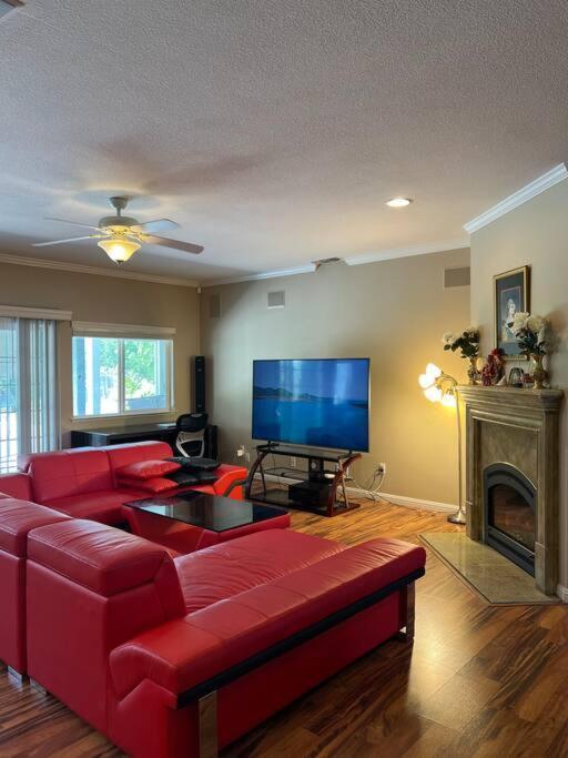 Luxury Half Acre House Holiday home *